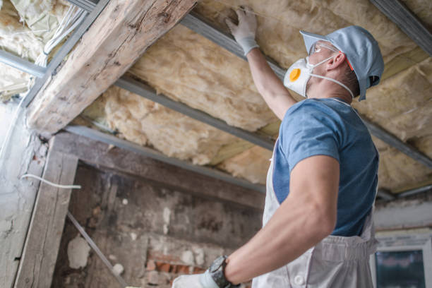 Best Blown-in Insulation in Tubac, AZ