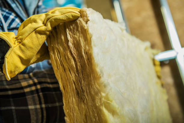 Best Residential Insulation in Tubac, AZ